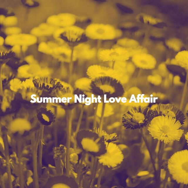 Summer Night Love Affair