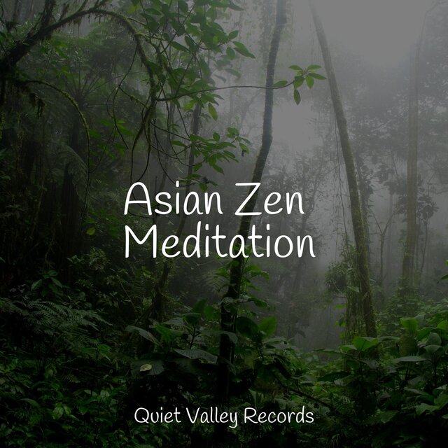 Asian Zen Meditation