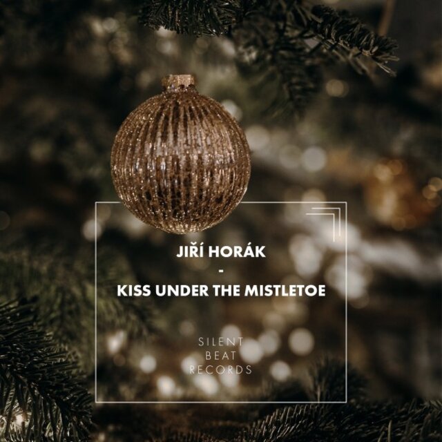 Kiss Under the Mistletoe