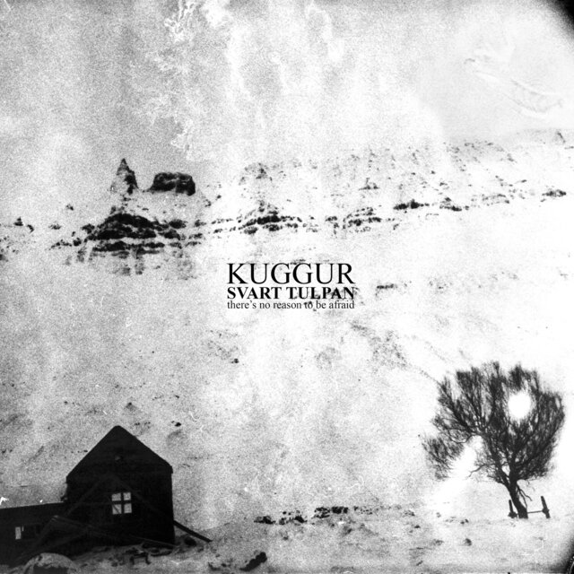 Cover art for album  by Kuggur, Svart Tulpan