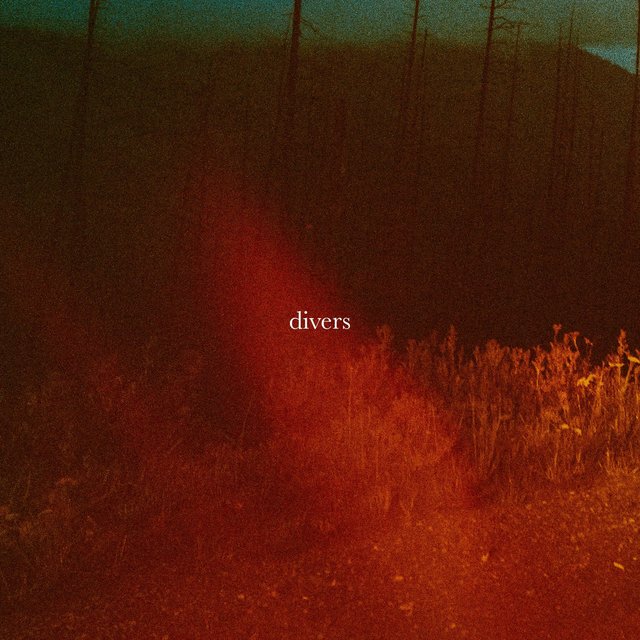 Divers