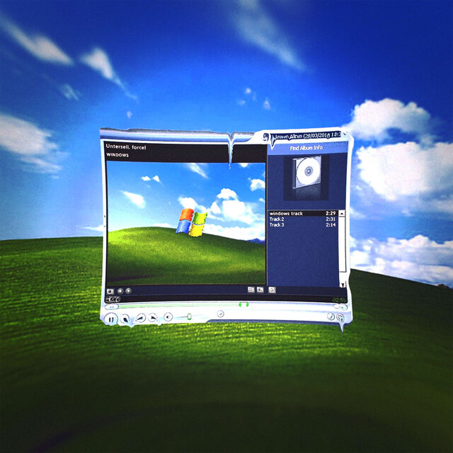 windows.exe