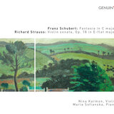 Violin Sonata in E-Flat Major, Op. 18, TrV 151: III. Finale. Andante - Allegro