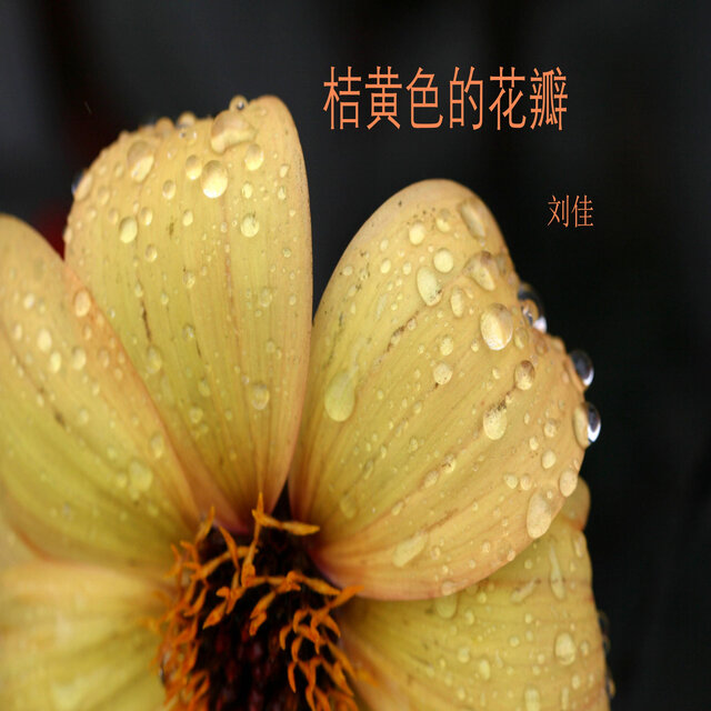 桔黄色的花瓣