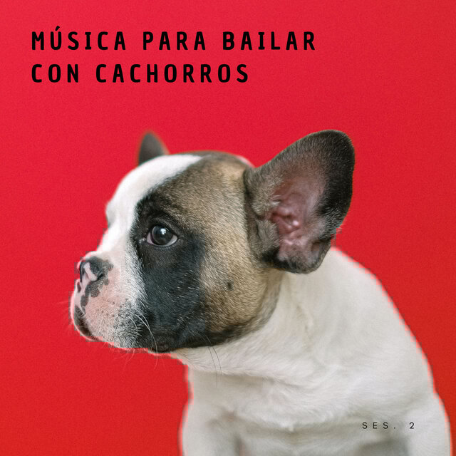 Música Para Bailar Con Cachorros Ses. 2