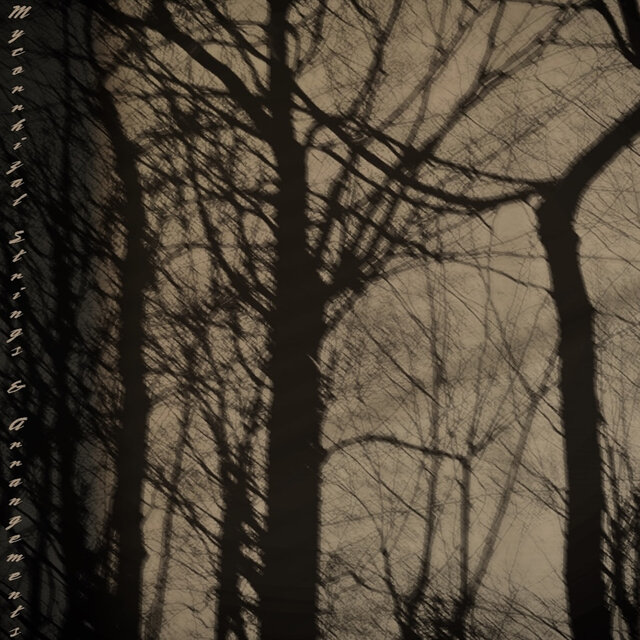 Mycorrhizal Strings & Arrangements