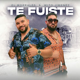 Te Fuiste