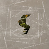 Magic Fly