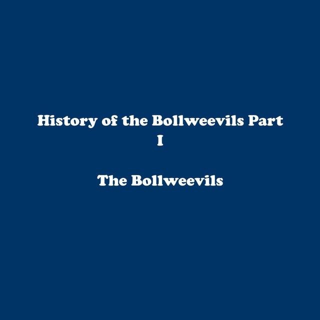 History of the Bollweevils Part I