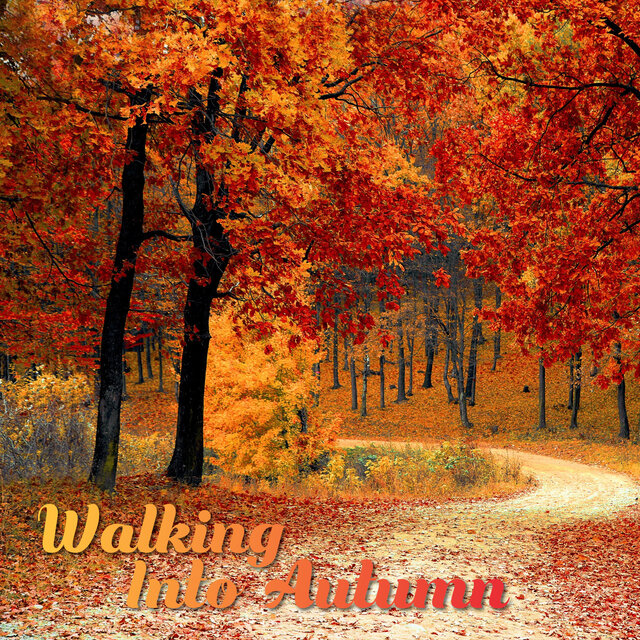 Walking Into Autumn