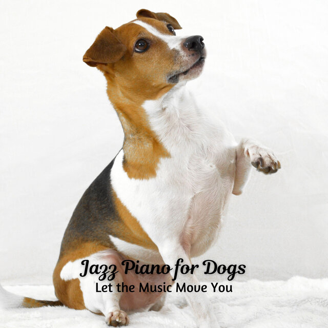 Jazz Piano for Dogs: Let the Music Move You