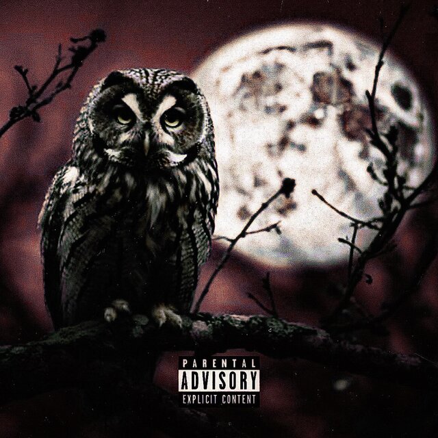 Night Owl, Vol 1 Deluxe Edition
