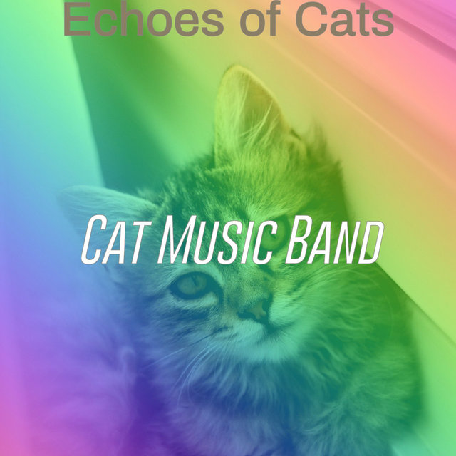 Echoes of Cats