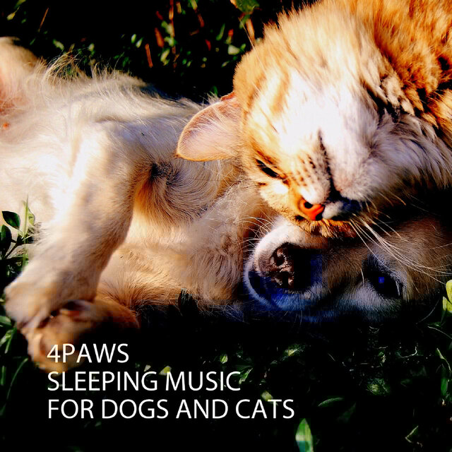 4PAWS: Sleeping Music For Dogs and Cats