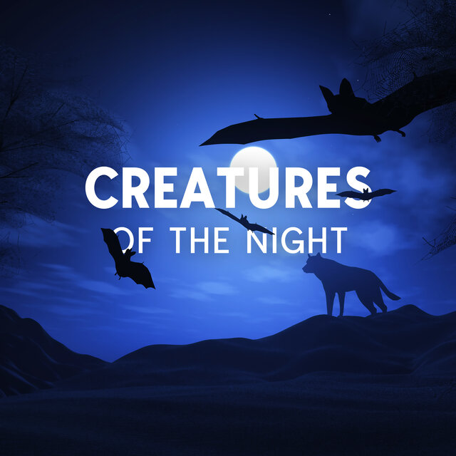Creatures of the Night: Nocturnal Sounds