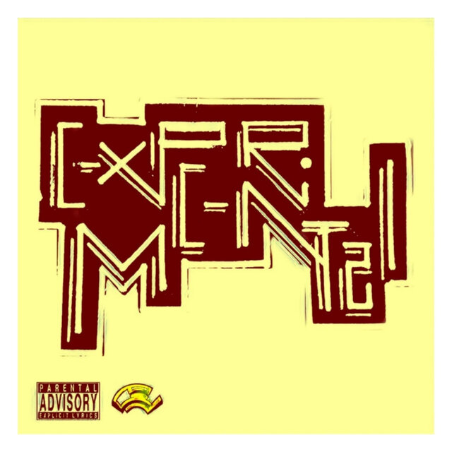 Experimental 1