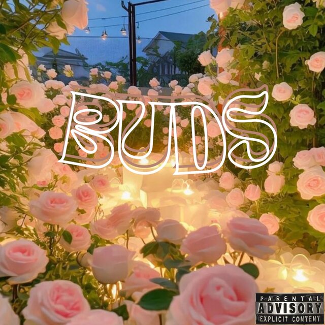 BUDS