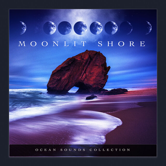 Moonlit Shore