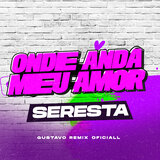 Onde Anda o Meu Amor