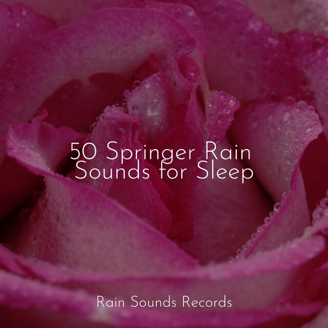 50 Springer Rain Sounds for Sleep
