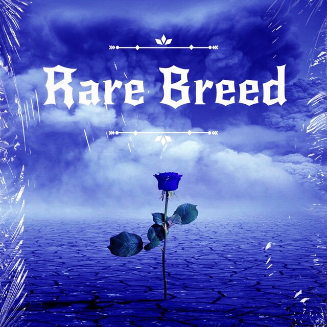 Rare Breed