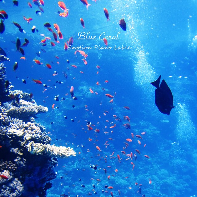 Blue Coral