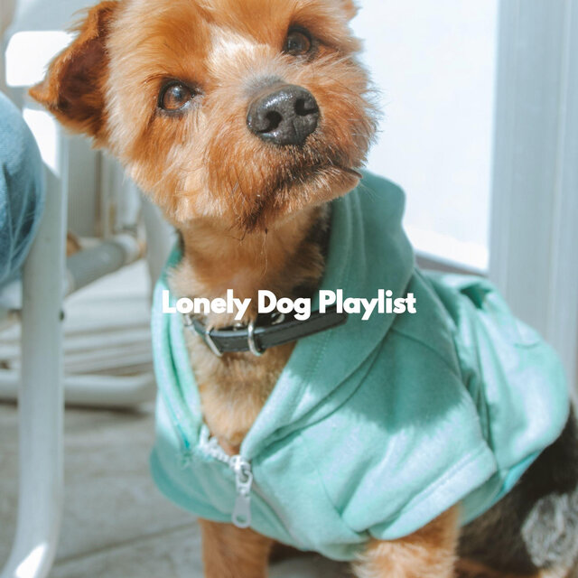 Lonely Dog Playlist