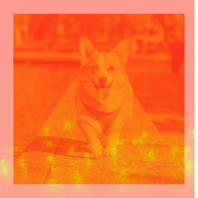 Music for Sleeping Dogs - Amazing Bossanova