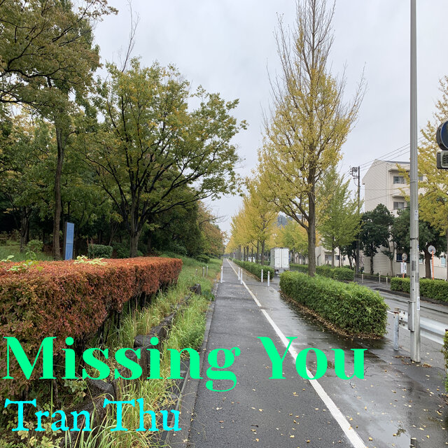 Missing You