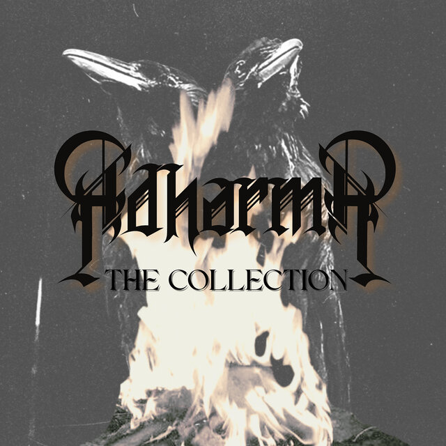 The Collection