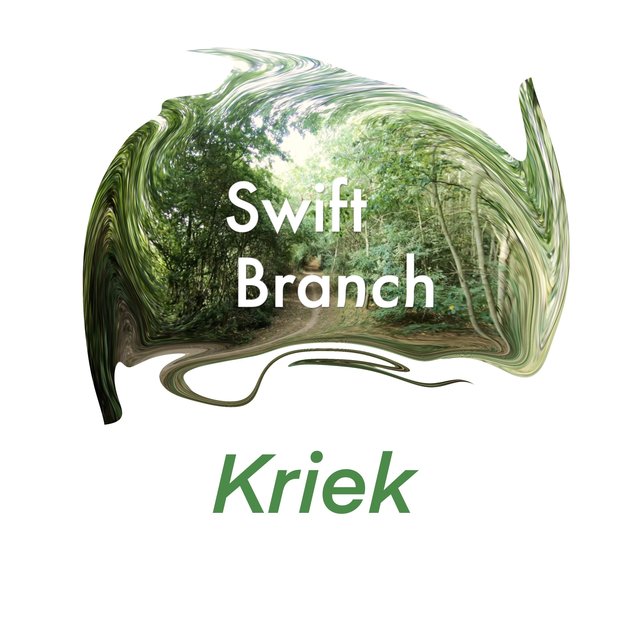 Swift Branch