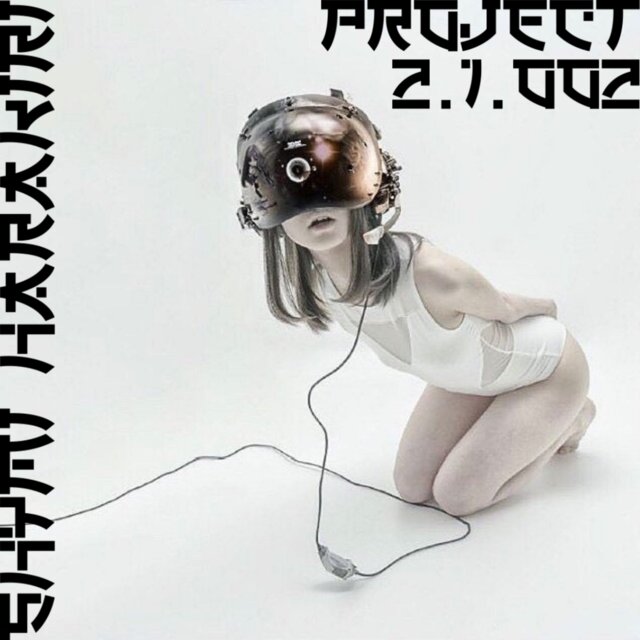 PROJECT 2.1.002