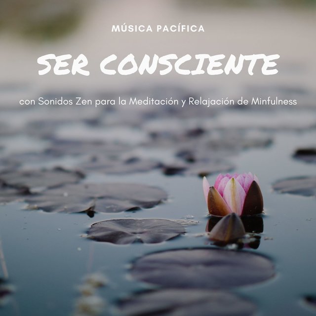 Ser Consciente: Música Pacífica con Sonidos Zen para la Meditación y Relajación de Minfulness