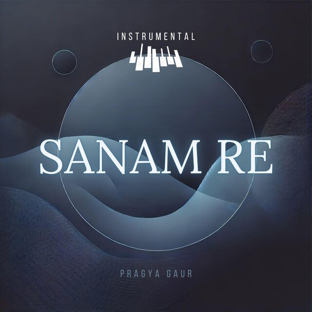 Sanam Re (Instrumental)