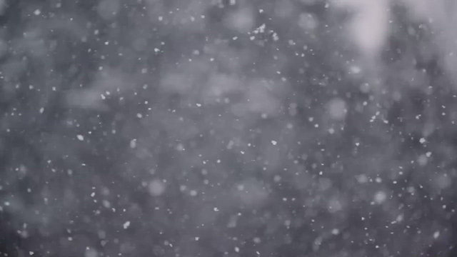Snows of Avalon