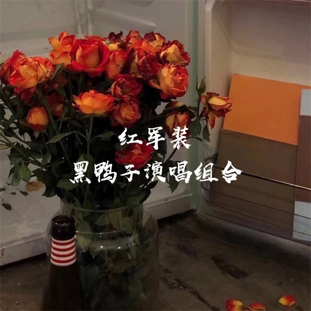 红军装 (翻唱)