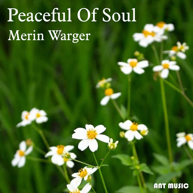 Peaceful Of Soul