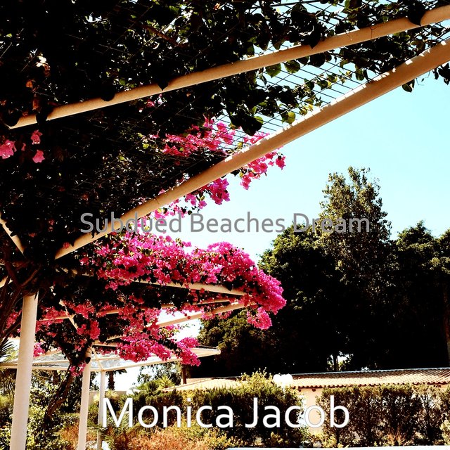 Subdued Beaches Dream