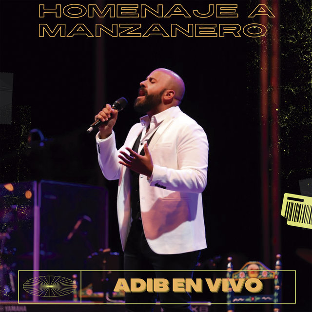 Homenaje a Manzanero (En Directo)