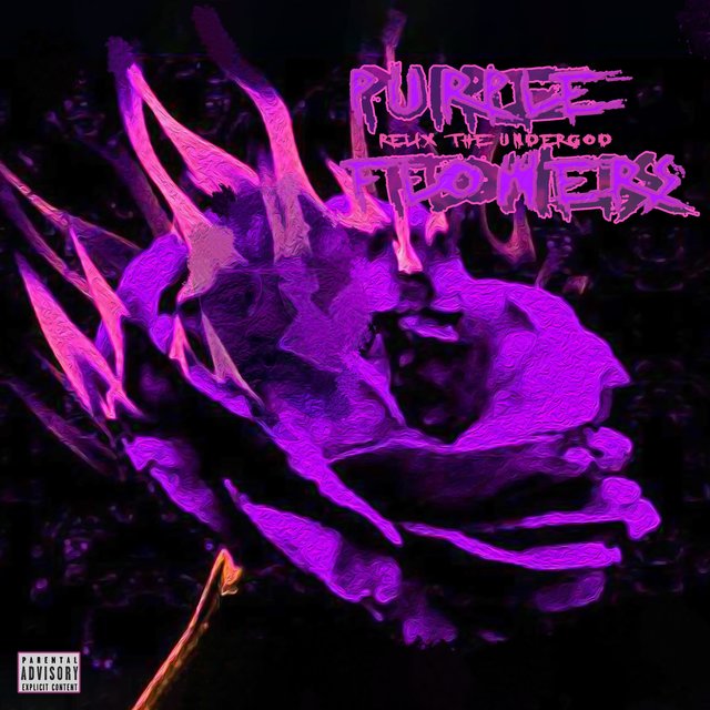 Purple Flowers