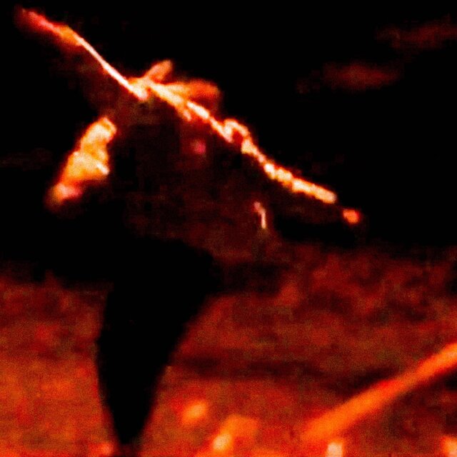 Defeat