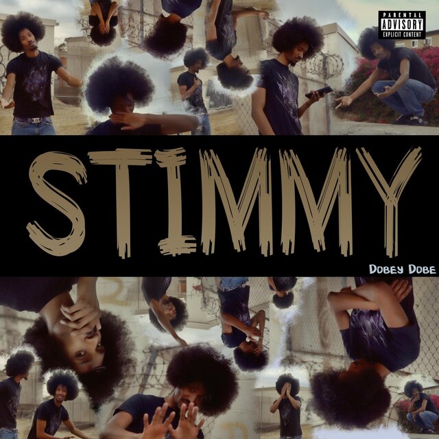 Stimmy
