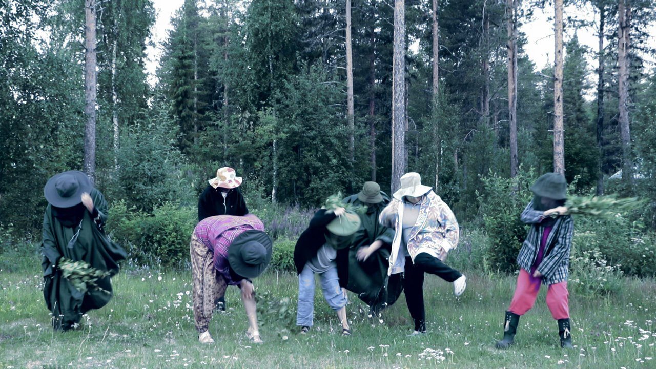 Mosquito Dubstep