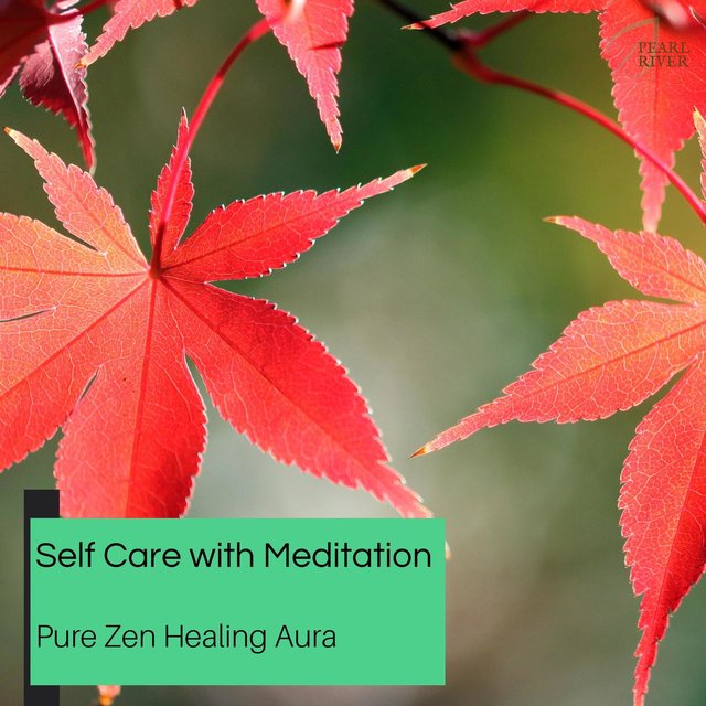 Self Care With Meditation - Pure Zen Healing Aura