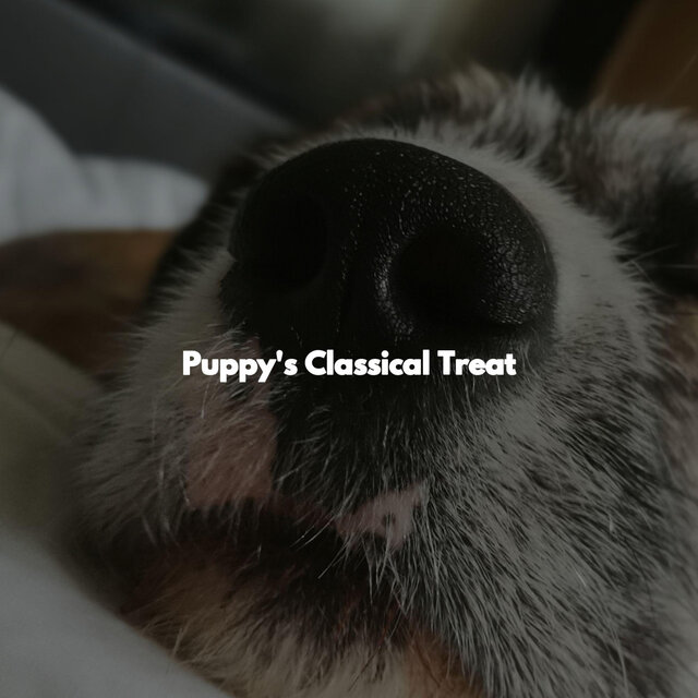 Puppy's Classical Treat