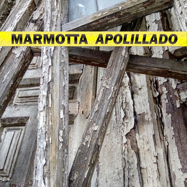 Apolillado