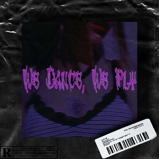 We Dance, We Fly