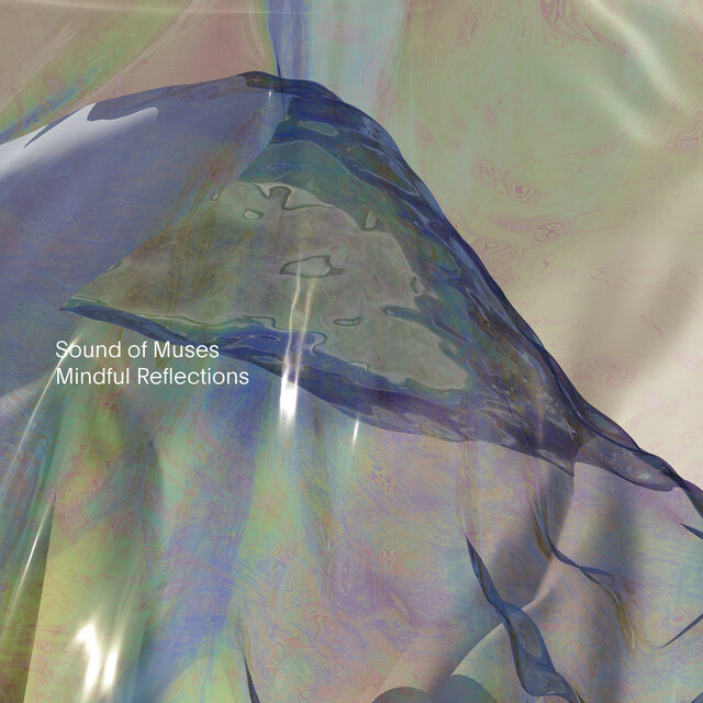Mindful Reflections