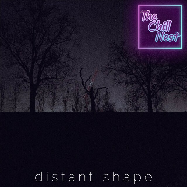 Distant Shape