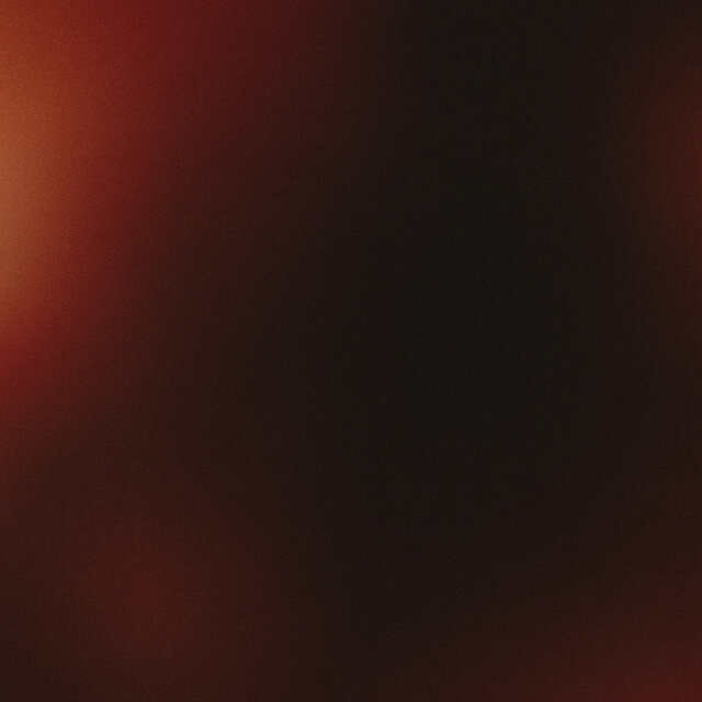 Entre luces y sombras
